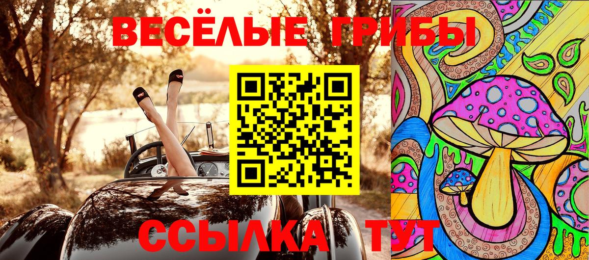 Галлюциногенные грибы Psilocybine cubensis Нововоронеж