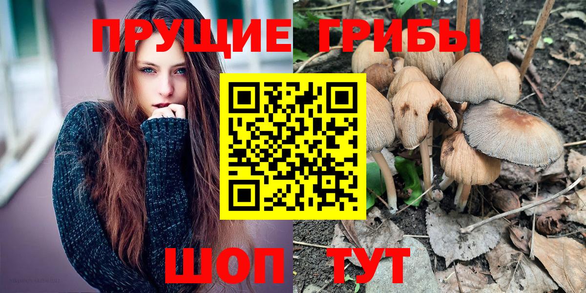 Псилоцибиновые грибы мухоморы  Вход с VPN  Нововоронеж  Галлюциногенные грибы прущие грибы 