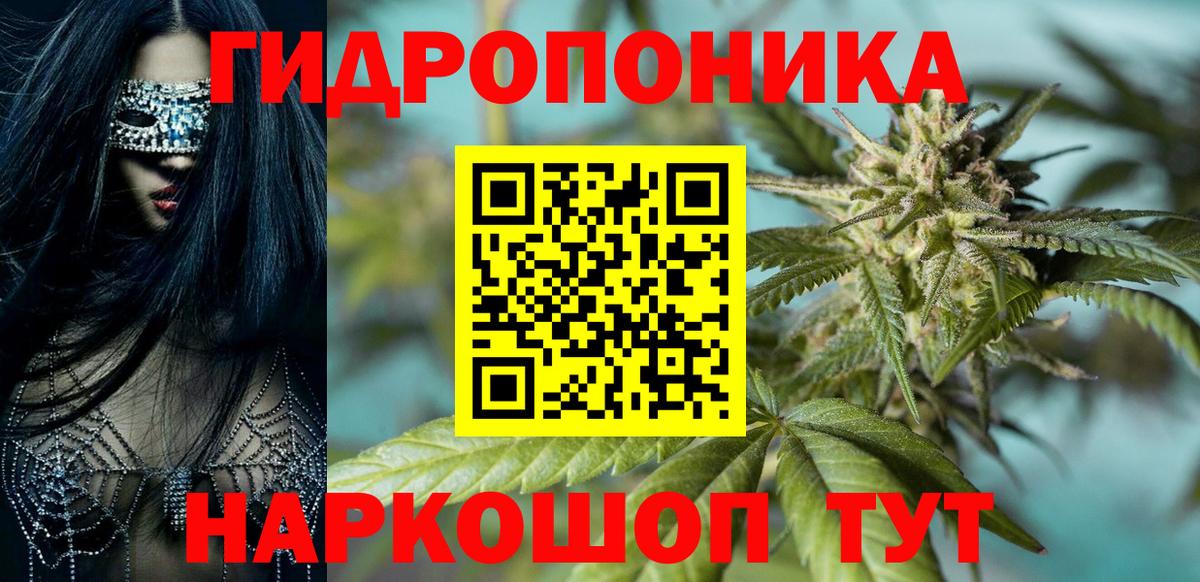 Канабис SATIVA & INDICA Нововоронеж